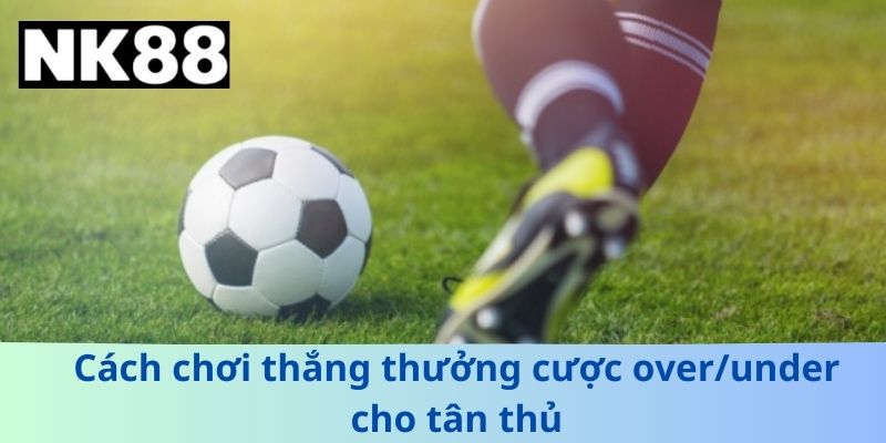 Cách chơi thắng thưởng cược over/under cho tân thủ